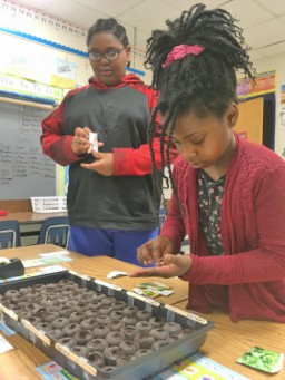 Picture of two students planting seeds during Garden Club
